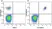Anti Human CD19 Antibody, clone LT19 thumbnail image 65