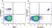 Anti Human CD19 Antibody, clone LT19 thumbnail image 66