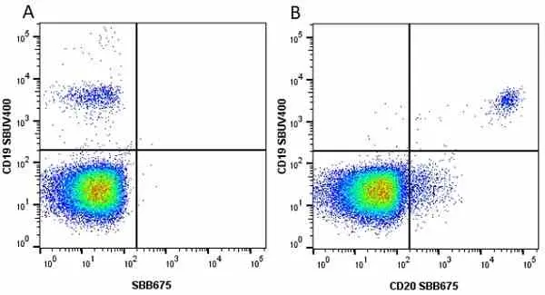Anti Human CD19 Antibody, clone LT19 gallery image 66