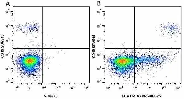 Anti Human CD19 Antibody, clone LT19 gallery image 67
