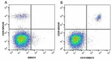 Anti Human CD19 Antibody, clone LT19 gallery image 68