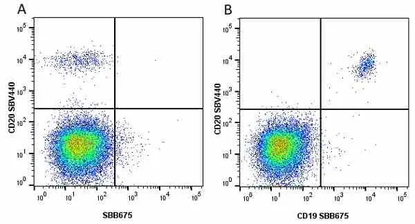 Anti Human CD19 Antibody, clone LT19 gallery image 68