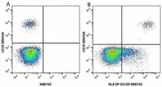 Anti Human CD19 Antibody, clone LT19 gallery image 69