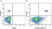 Anti Human CD19 Antibody, clone LT19 thumbnail image 7