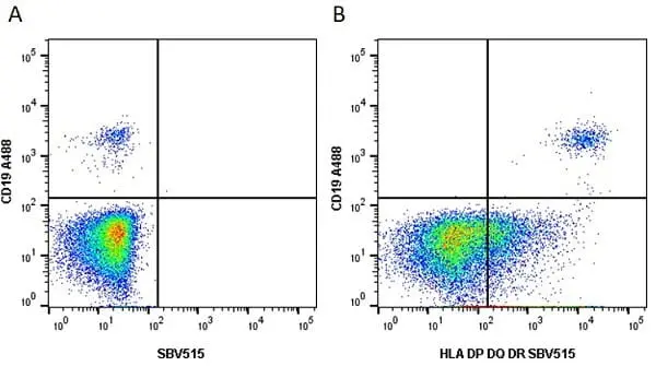Anti Human CD19 Antibody, clone LT19 gallery image 7