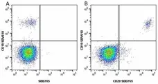 Anti Human CD19 Antibody, clone LT19 gallery image 70