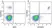 Anti Human CD19 Antibody, clone LT19 thumbnail image 70