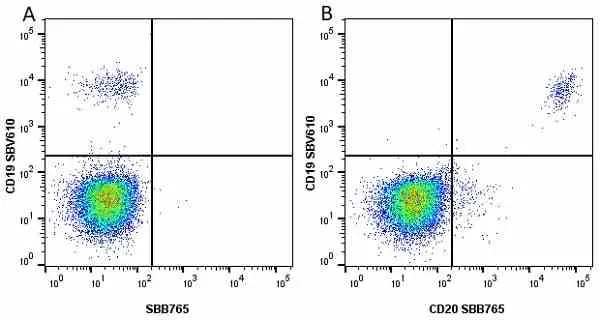 Anti Human CD19 Antibody, clone LT19 gallery image 70
