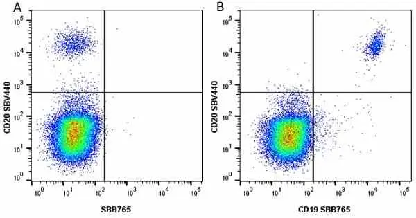 Anti Human CD19 Antibody, clone LT19 gallery image 71