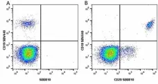 Anti Human CD19 Antibody, clone LT19 gallery image 72
