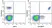 Anti Human CD19 Antibody, clone LT19 thumbnail image 72