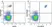 Anti Human CD19 Antibody, clone LT19 thumbnail image 73