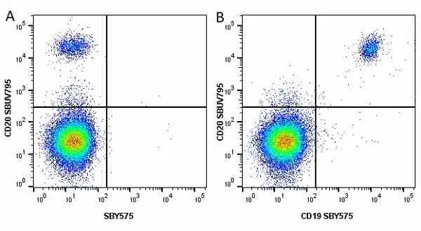 Anti Human CD19 Antibody, clone LT19 gallery image 75