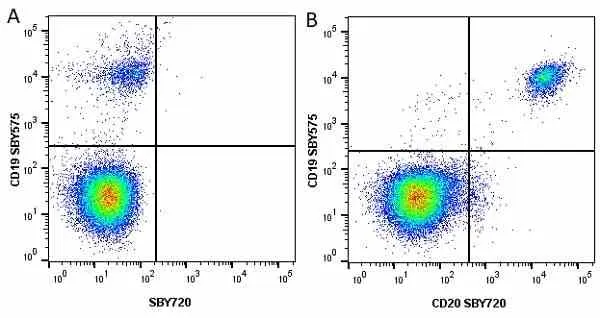 Anti Human CD19 Antibody, clone LT19 gallery image 79