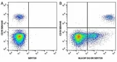 Anti Human CD19 Antibody, clone LT19 gallery image 80