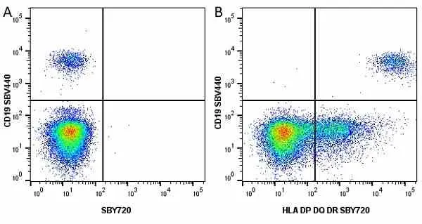 Anti Human CD19 Antibody, clone LT19 gallery image 80
