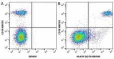 Anti Human CD19 Antibody, clone LT19 gallery image 81