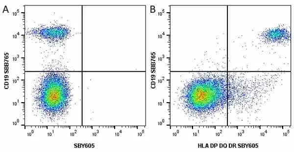 Anti Human CD19 Antibody, clone LT19 gallery image 81