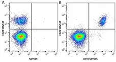 Anti Human CD19 Antibody, clone LT19 gallery image 82