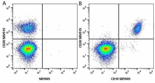 Anti Human CD19 Antibody, clone LT19 gallery image 82