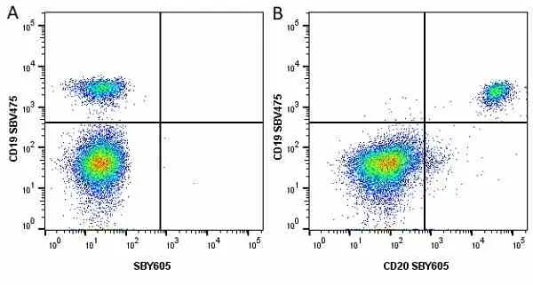 Anti Human CD19 Antibody, clone LT19 gallery image 83