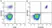 Anti Human CD19 Antibody, clone LT19 thumbnail image 86