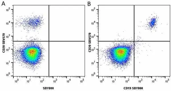 Anti Human CD19 Antibody, clone LT19 gallery image 86