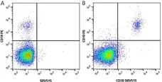 Anti Human CD19 Antibody, clone LT19 gallery image 9
