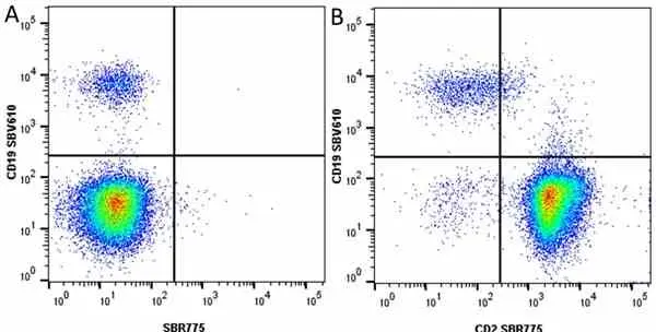 Anti Human CD19 Antibody, clone LT19 gallery image 91