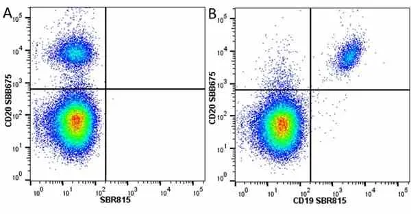 Anti Human CD19 Antibody, clone LT19 gallery image 94