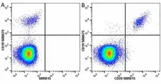 Anti Human CD19 Antibody, clone LT19 gallery image 95