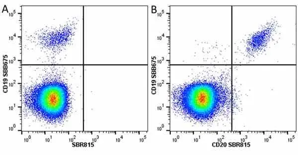 Anti Human CD19 Antibody, clone LT19 gallery image 95