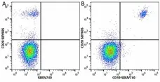 Anti Human CD19 Antibody, clone LT19 gallery image 96