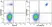 Anti Human CD19 Antibody, clone LT19 thumbnail image 96