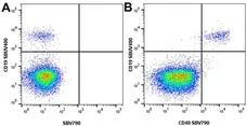 Anti Human CD19 Antibody, clone LT19 gallery image 99