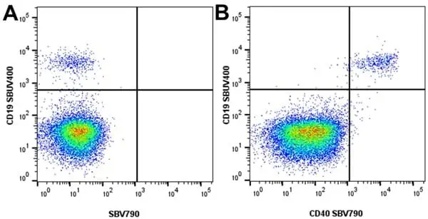 Anti Human CD19 Antibody, clone LT19 gallery image 99