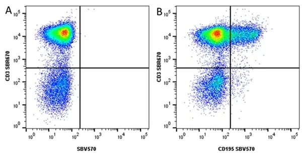 Anti Human CD195 Antibody, clone HEK/1/85a gallery image 5