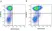 Anti Human CD195 Antibody, clone HEK/1/85a thumbnail image 8