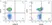 Anti Human CD195 Antibody, clone T21/8 thumbnail image 3