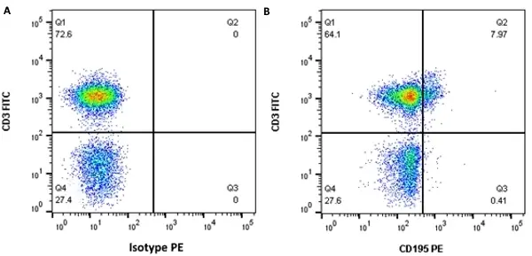 Anti Human CD195 Antibody, clone T21/8 gallery image 3