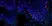 Anti Human CD1a Antibody, clone NA1/34-HLK thumbnail image 12