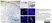 Anti Human CD1a Antibody, clone NA1/34-HLK thumbnail image 13