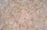 Anti Human CD1a Antibody, clone NA1/34-HLK thumbnail image 7