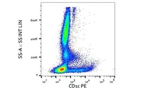 Anti Human CD1c Antibody, clone L161 gallery image 1
