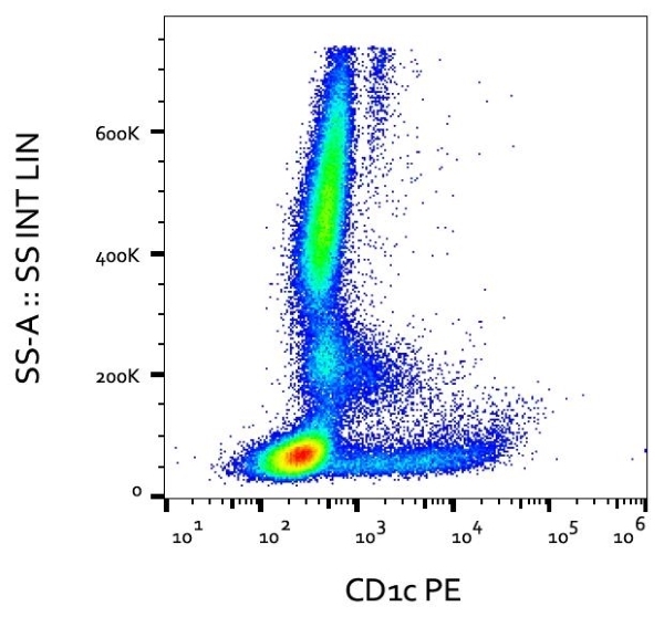 Anti Human CD1c Antibody, clone L161 gallery image 1