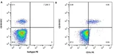 Anti Human CD1c Antibody, clone L161 gallery image 2