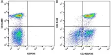 Anti Human CD2 Antibody, clone LT2 gallery image 1