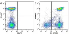 Anti Human CD2 Antibody, clone LT2 gallery image 10