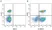 Anti Human CD2 Antibody, clone LT2 thumbnail image 11