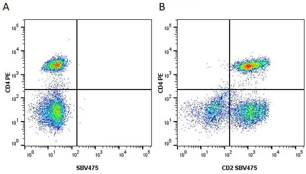 Anti Human CD2 Antibody, clone LT2 gallery image 11